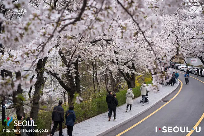 Namsan Seoul Tower