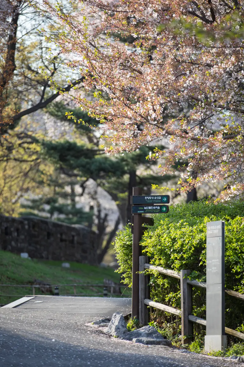 Namsan Seoul Tower