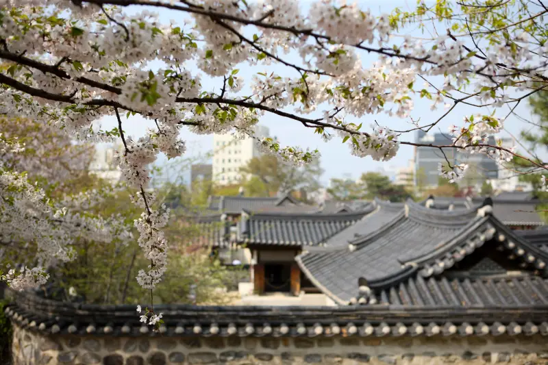 Namsangol Hanok Village